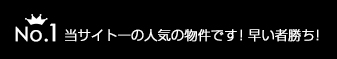 ランキング1位